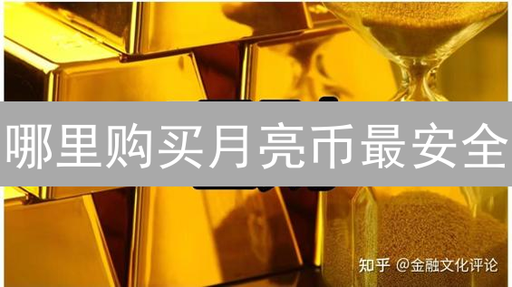 哪里购买月亮币最安全？一份超详细购买指南