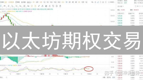 以太坊期权交易：实用策略分析与应用场景