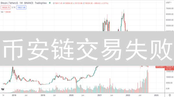 币安链交易失败？避坑指南：常见错误与解决策略！