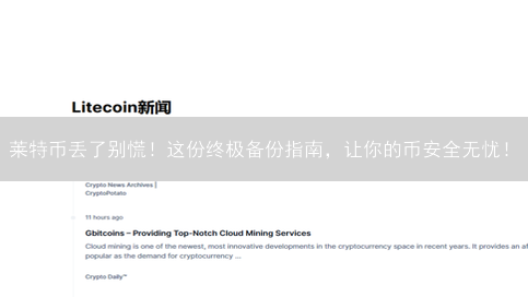 莱特币丢了别慌！这份终极备份指南，让你的币安全无忧！