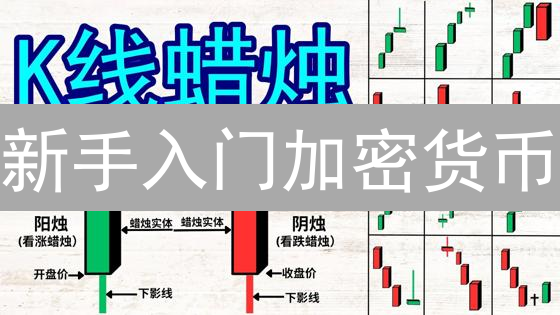 新手入门加密货币：精选币种推荐与避坑指南！