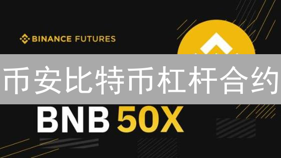 币安比特币杠杆合约：高收益与高风险并存，如何稳健盈利？