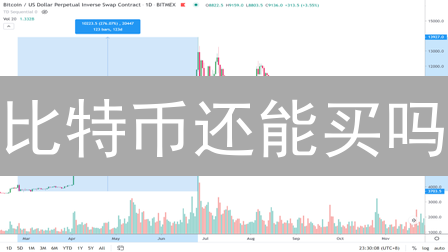 比特币还能买吗？2024投资必看：风险、机遇与未来趋势分析！