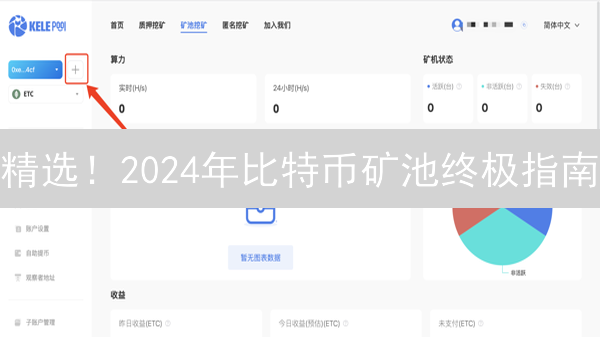 精选！2024年比特币矿池终极指南：哪个最赚钱？新手挖矿必看！