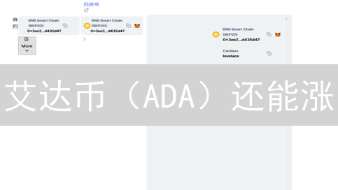 艾达币（ADA）还能涨？Mexc交易所交易ADA，新手必看！