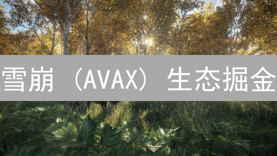 雪崩 (AVAX) 生态掘金：DeFi、NFT投资机遇与潜在风险速览！