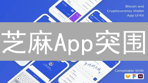 芝麻App突围：能否成为加密货币移动入口？