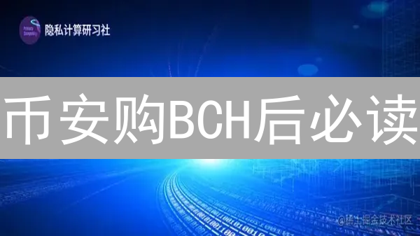 币安购BCH后必读：存储方案PK & 高效使用攻略！