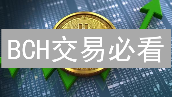 BCH交易必看：新手如何快速注册加密货币交易所账户？