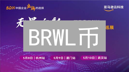 BRWL币：格斗游戏生态系统的核心燃料与价值体现