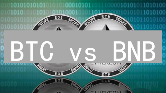 BTC vs BNB：2024加密货币投资指南，谁更胜一筹？