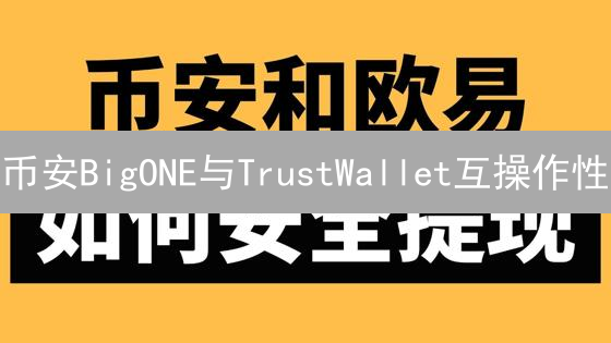 币安BigONE与TrustWallet互操作性：加密桥梁探索