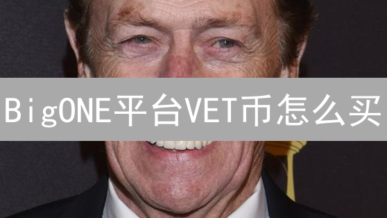 BigONE平台VET币怎么买？3分钟了解VeChain投资策略！