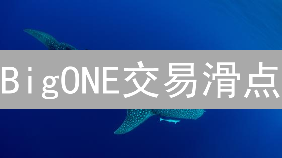 BigONE交易滑点？规避策略全解析，交易效率提升指南！