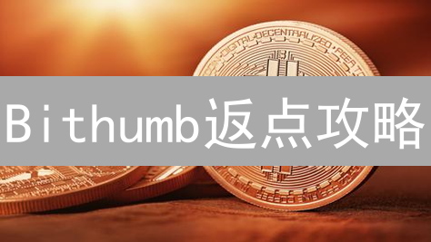 Bithumb返点攻略：如何最大化你的加密货币交易收益？