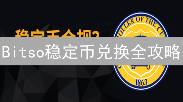 Bitso稳定币兑换全攻略：新手也能轻松上手！