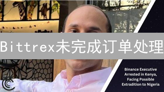 Bittrex未完成订单处理：2025年最佳策略？用户必看！