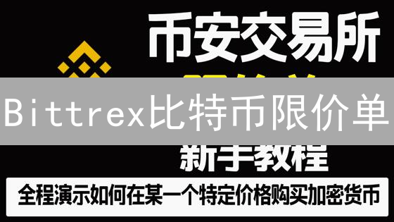 Bittrex比特币限价单：精准交易策略与实战指南