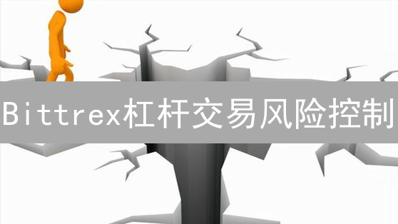 Bittrex杠杆交易风险控制：波动中求稳策略
