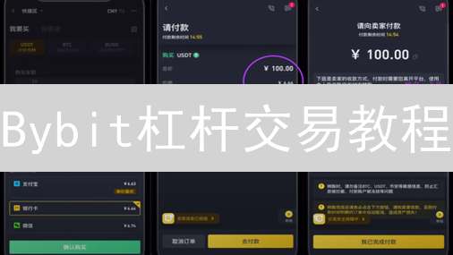 Bybit杠杆交易教程：10步玩转100倍杠杆，风险可控！
