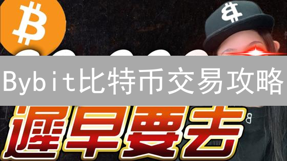 Bybit比特币交易攻略：掌握手续费、合约类型与价格波动！