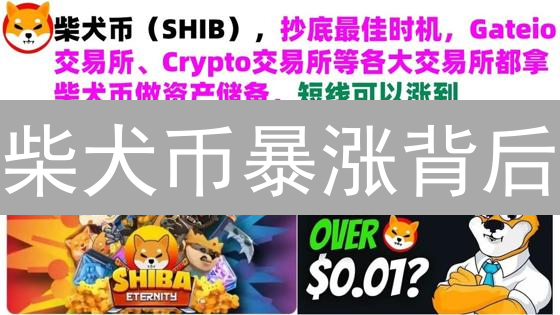 柴犬币暴涨背后：Bybit 交易的 10 大风险信号！