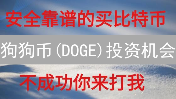 狗狗币(DOGE)投资机会？欧易(OKX)极速交易教程！