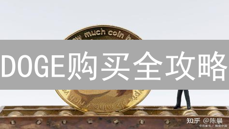 DOGE购买全攻略：新手也能轻松入手的秘籍！
