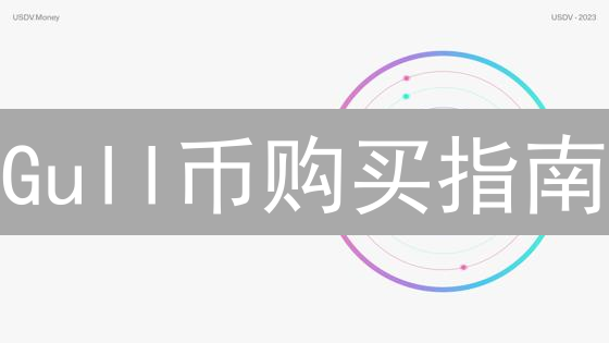 Gull币购买指南：新手入门与安全交易策略