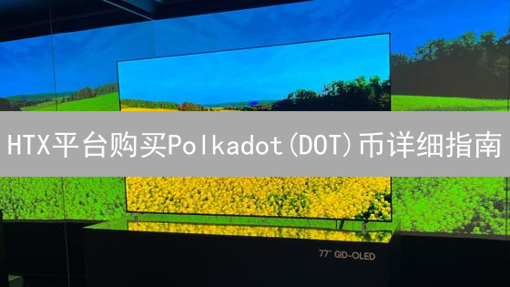 HTX平台购买Polkadot(DOT)币详细指南：注册、验证与交易