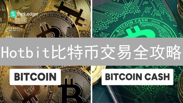 Hotbit比特币交易全攻略：新手也能轻松上手？