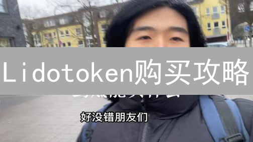 Lidotoken购买攻略：新手必看！安全便捷购入指南