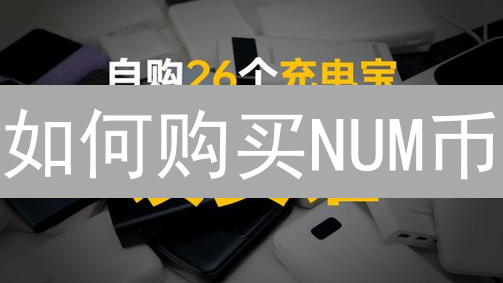 如何购买NUM币？全面指南与风险提示 (15-30字)