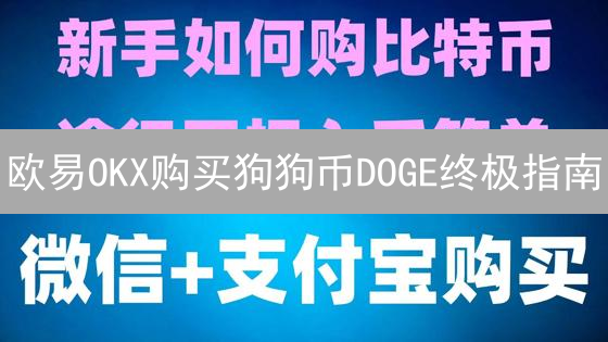 欧易OKX购买狗狗币DOGE终极指南：新手也能轻松上手！