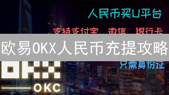 欧易OKX人民币充提攻略：新手必看，避坑指南！