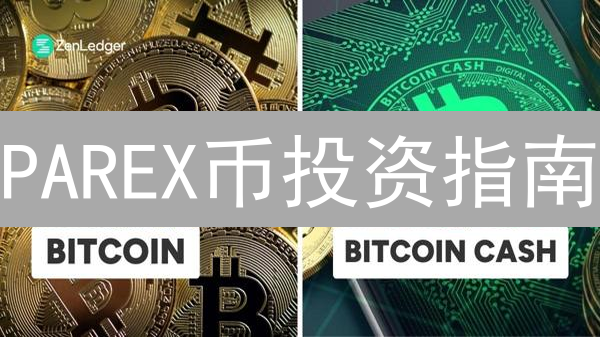 PAREX币投资指南：DeFi生态的潜力与风险？