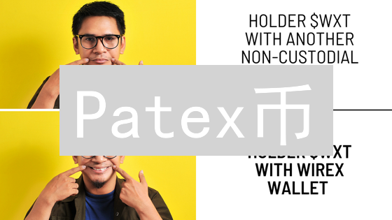 Patex币：解锁拉美金融新机遇？未来价值几何？