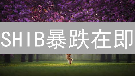SHIB暴跌在即？Bitmex卖出最佳时机揭秘！