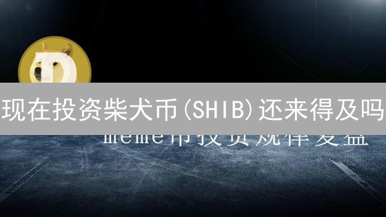 现在投资柴犬币(SHIB)还来得及吗？币安交易深度分析及未来趋势预测