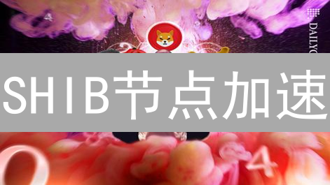 SHIB节点加速：突破瓶颈，提升网络性能的关键策略！