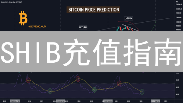 SHIB充值指南：新手必看！避坑秘籍大公开！