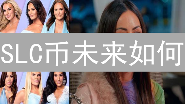 SLC币未来如何？深度分析其前景与挑战！【2024最新】