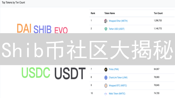 Shib币社区大揭秘：狂热背后的真相，你敢信？