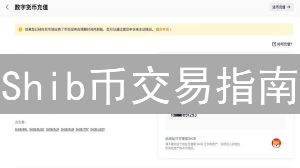 Shib币交易指南：火币 vs. BitMEX，哪个平台更适合你？