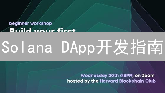 Solana DApp开发指南：高性能区块链的崛起与挑战？