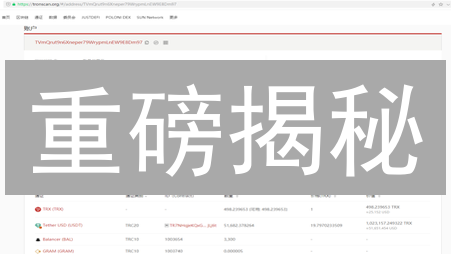 重磅揭秘：波场币 TRX 还能涨？现在入手晚了吗？