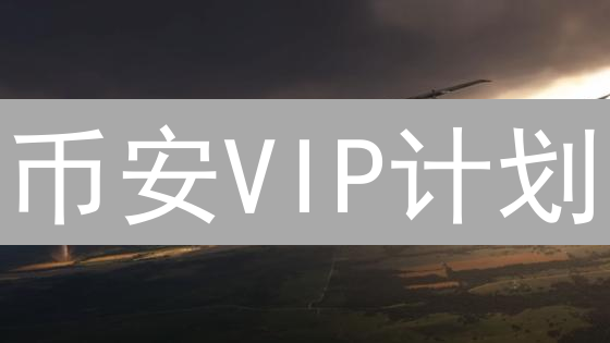 币安VIP计划：如何玩转特权，解锁更低手续费？速看！