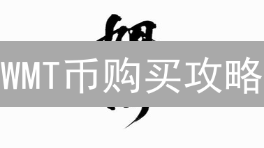 WMT币购买攻略：三大途径详解及风险提示！