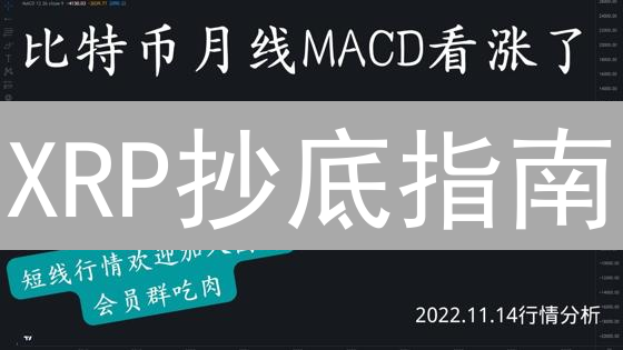 XRP抄底指南：掌握时机，掘金瑞波币？ | 避坑必看！